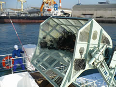 東京湾の被害2