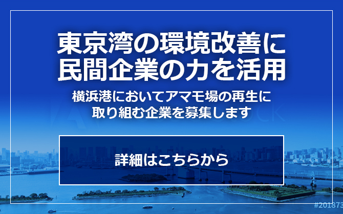 東京湾の環境改善に民間企業の力を活用｜横浜港においてアマモ場の再生に取り組む企業を募集します