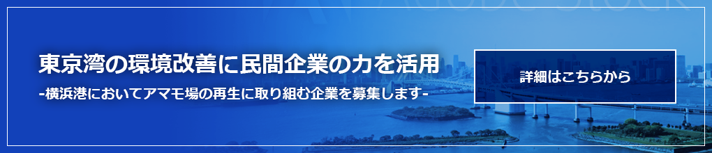 東京湾の環境改善に民間企業の力を活用｜横浜港においてアマモ場の再生に取り組む企業を募集します