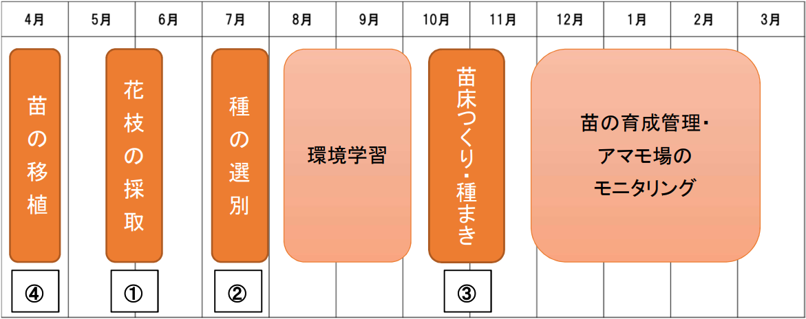 UMIプロジェクトの活動スケジュール