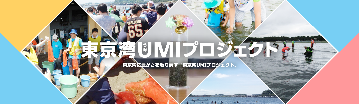 東京湾に豊かさを取り戻す「東京湾UMIプロジェクト」