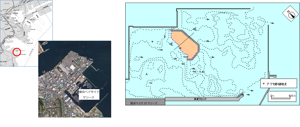 過去の代表的なUMIプロジェクトの実施場所