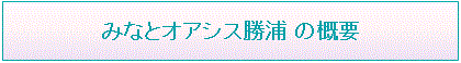 みなとオアシス勝浦の概要