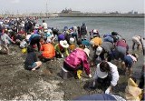 潮干狩り(人工海浜)