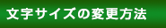 文字サイズの変更方法