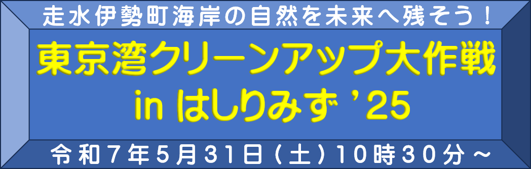 クリーンアップ大作戦
