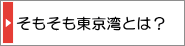 そもそも東京湾とは？