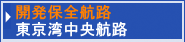 開発保全航路 東京湾中央航路