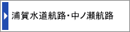 開発保全航路　浦賀・中ノ瀬航路