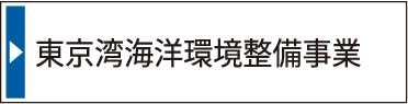 東京湾海洋環境整備事業