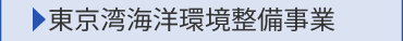 東京湾海洋環境整備事業